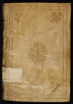 Cod.+Triv.+15,+piatto+anteriore